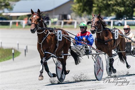 harness racing nz results|Harness Racing New Zealand .